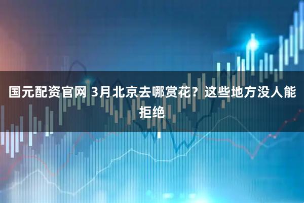 国元配资官网 3月北京去哪赏花?这些地方没人能拒绝
