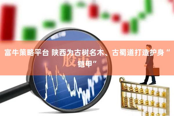 富牛策略平台 陕西为古树名木、古蜀道打造护身“铠甲”